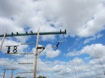Staffs CYP - Whitemoor Lakes day - High ropes